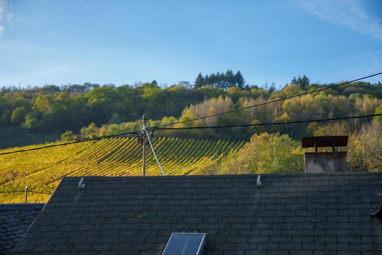 Gruenberg House Apartment Traben-Trarbach Luaran gambar